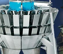 IRADAN - Iran and Denmark Industrial Corporation